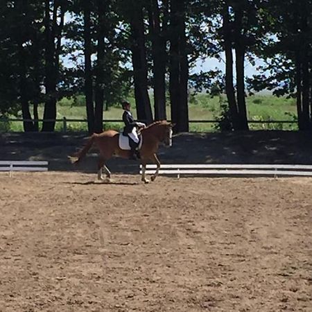 Sassi Talu Horsefarm Hotell Parnumaa Eksteriør bilde