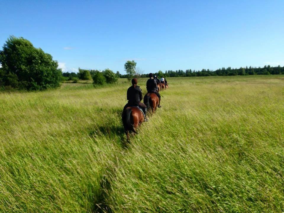 Sassi Talu Horsefarm Hotell Parnumaa Eksteriør bilde