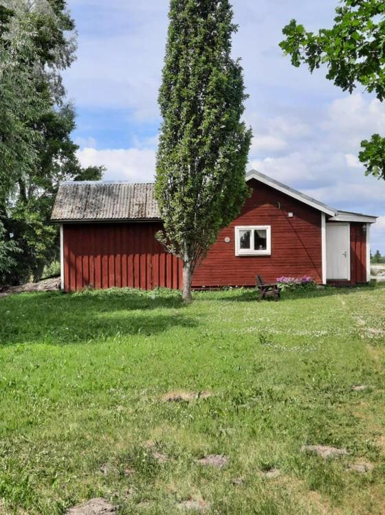 Sassi Talu Horsefarm Hotell Parnumaa Eksteriør bilde